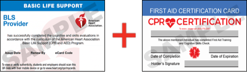 Sample American Heart Association AHA BLS CPR Card Certificaiton and First Aid Certification Card from CPR Certification Tacoma