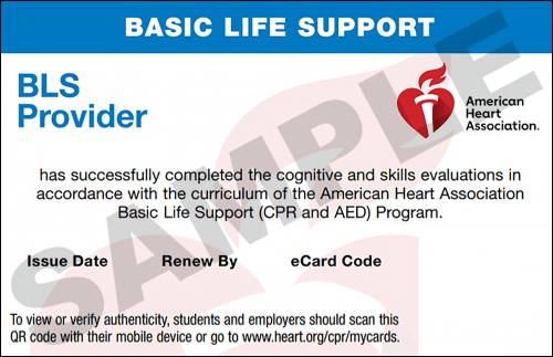 Sample American Heart Association AHA BLS CPR Card Certification from CPR Certification Tacoma