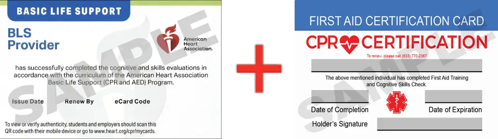 Sample American Heart Association AHA BLS CPR Card Certification and First Aid Certification Card from CPR Certification Tacoma